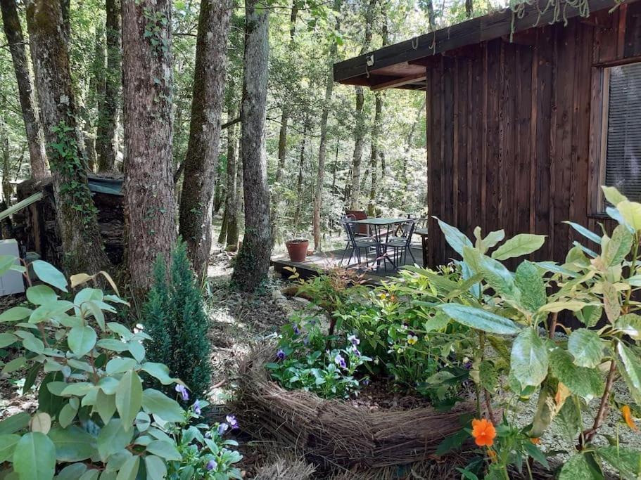 Le Gite De La Cabane De L'Oiseau Couze-et-Saint-Front Ngoại thất bức ảnh