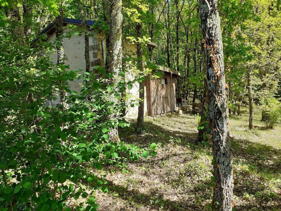 Le Gite De La Cabane De L'Oiseau Couze-et-Saint-Front Ngoại thất bức ảnh
